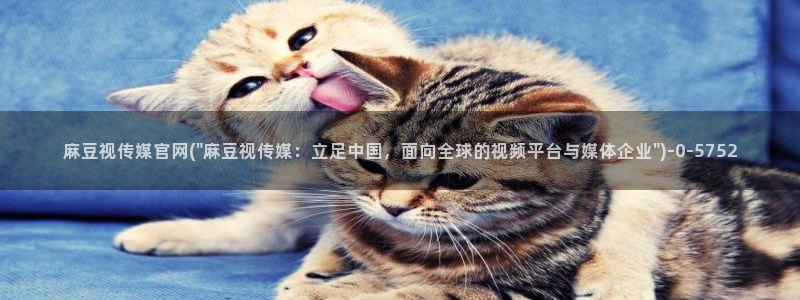 麻豆下载更新：麻豆视传媒官网(\