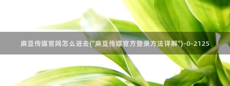 麻豆视频 热门视频：麻豆传媒官网怎么进去(\