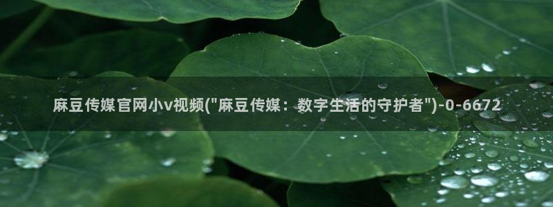 麻豆 更新完整版：麻豆传媒官网小v视频(\