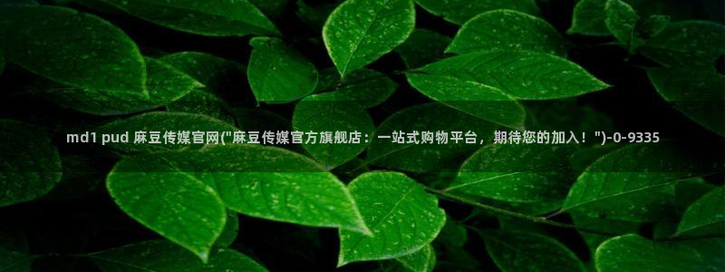 麻豆视频 资源：md1 pud 麻豆传媒官网(\