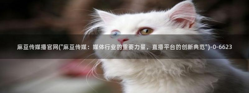 麻豆视频系列在线看：麻豆传媒播官网(\