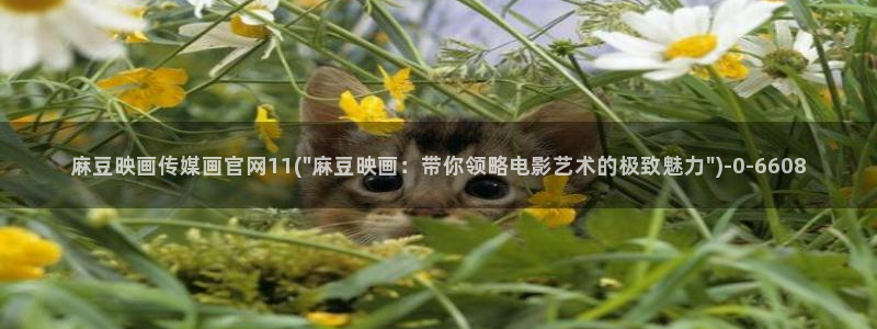 麻豆 资源下载：麻豆映画传媒画官网11(\