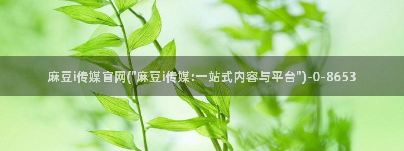 麻豆 资源下载：麻豆i传媒官网(\