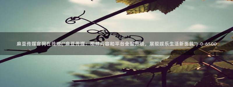 麻豆视频 高清高清：麻豆传媒官网在线观(\