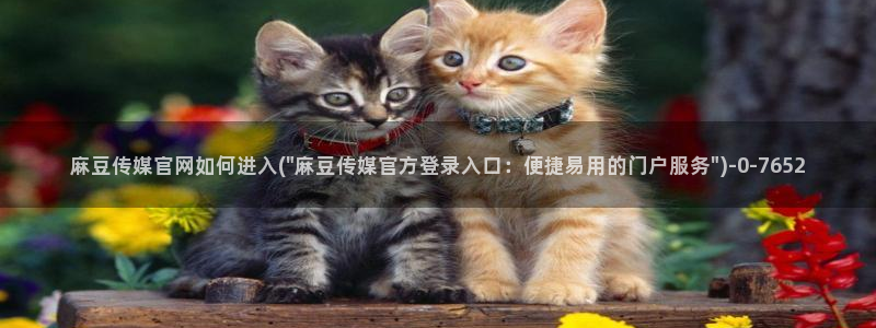 麻豆视频资源更新：麻豆传媒官网如何进入(\