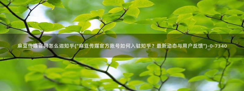麻豆 合集高清：麻豆传媒官网怎么进知乎(\