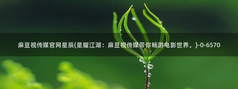 麻豆视频合集页面