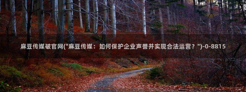 麻豆视频 资源更新：麻豆传媒破官网(\