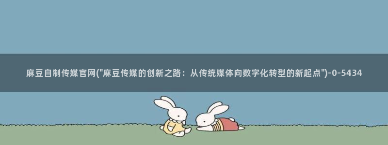 麻豆视频 入口页面