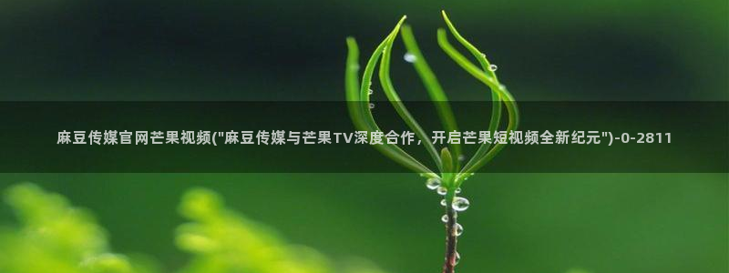 麻豆合集推荐