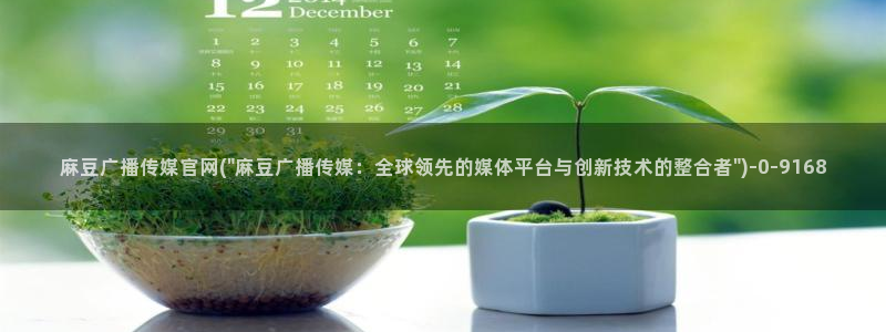 麻豆视频资源在线看：麻豆广播传媒官网(\
