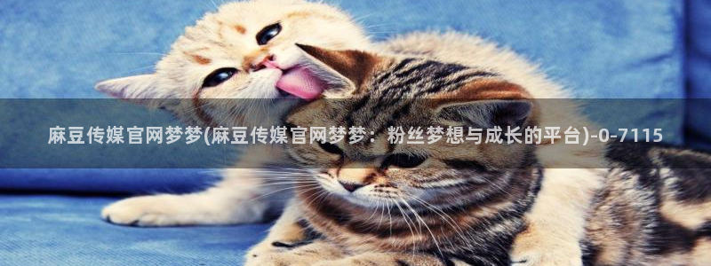 麻豆高清最新：麻豆传媒官网梦梦(麻豆传媒官网梦梦：粉丝梦想与成长的平台)