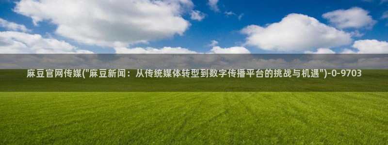 麻豆视频 高清整理：麻豆官网传媒(\