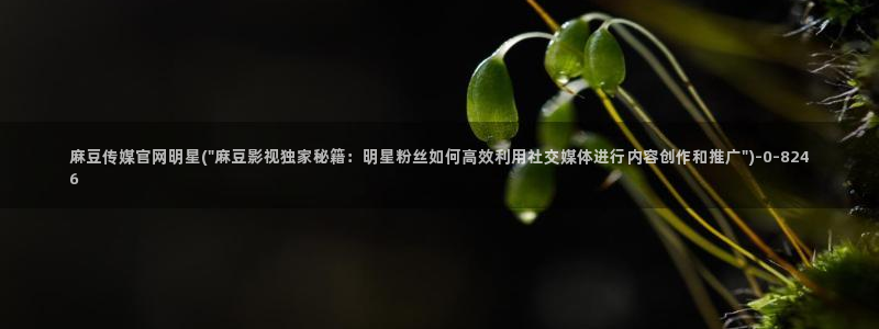 麻豆视频 完整版更新：麻豆传媒官网明星(\
