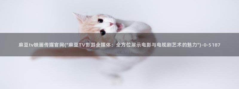 麻豆视频 内容整理