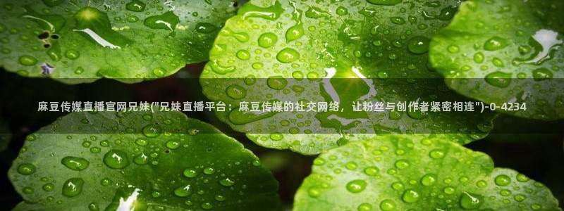 麻豆完整版：麻豆传媒直播官网兄妹(\